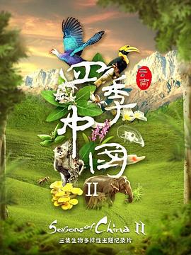 四季中国第二季粤语在线观看